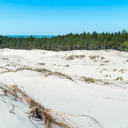 Lubiatowe - W Otulinie Lasu 別荘